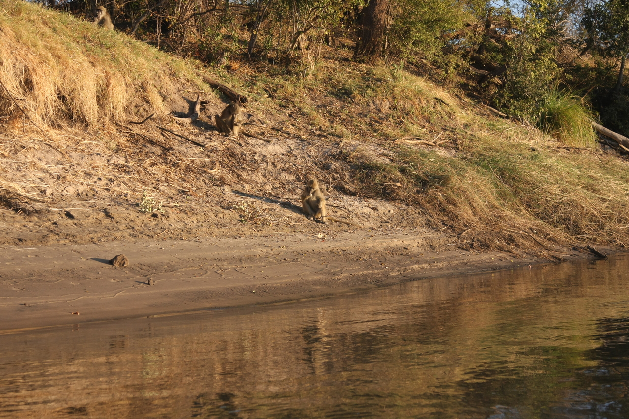 [33767] 2016_07_04_11_19_33_Africa_Canon_EOS_40D_IMG__05839.jpg