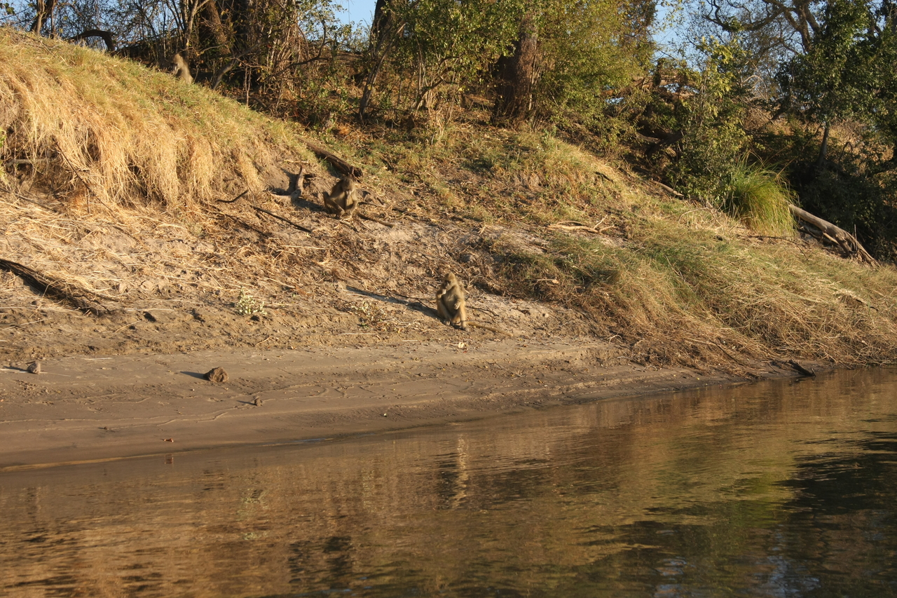 [33773] 2016_07_04_11_19_40_Africa_Canon_EOS_40D_IMG__05840.jpg