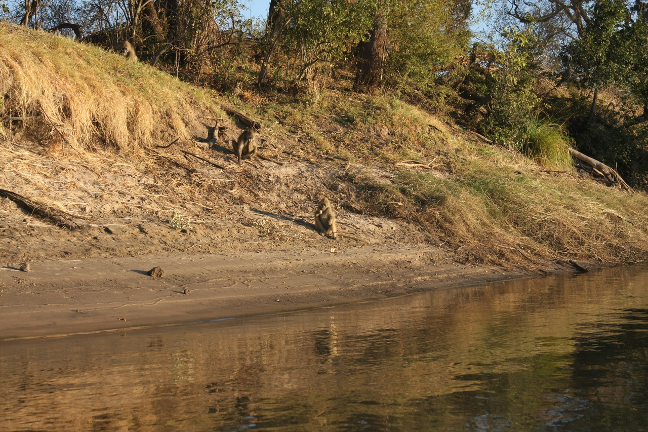 [33774] 2016_07_04_11_19_40_Africa_Canon_EOS_40D_IMG__05841.jpg