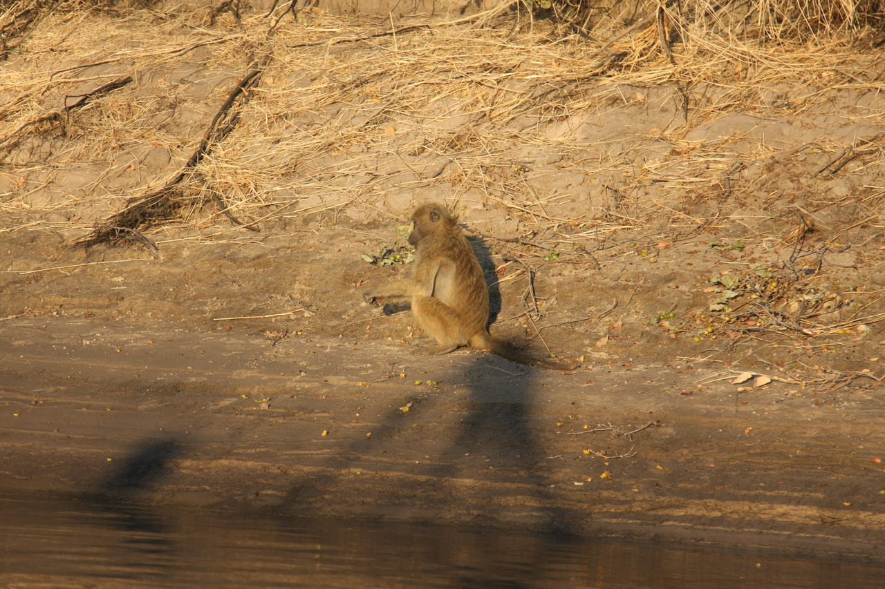 [33840] 2016_07_04_11_22_35_Africa_Canon_EOS_40D_IMG__13311.jpg
