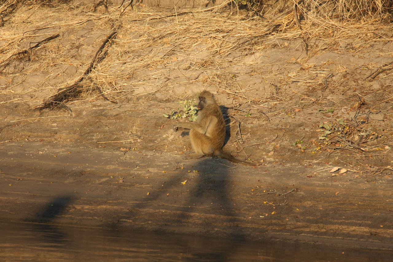 [33841] 2016_07_04_11_22_35_Africa_Canon_EOS_40D_IMG__13312.jpg