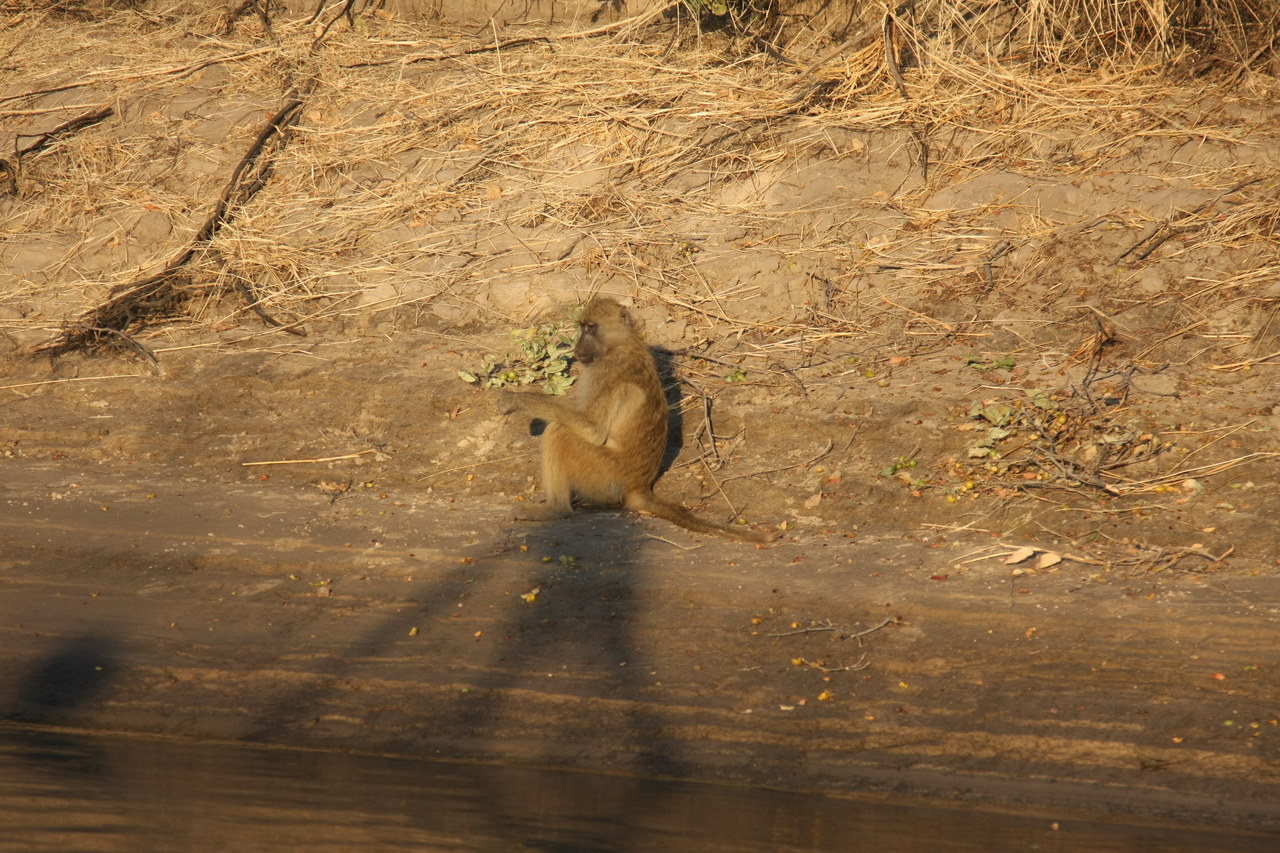 [33844] 2016_07_04_11_22_36_Africa_Canon_EOS_40D_IMG__13313.jpg