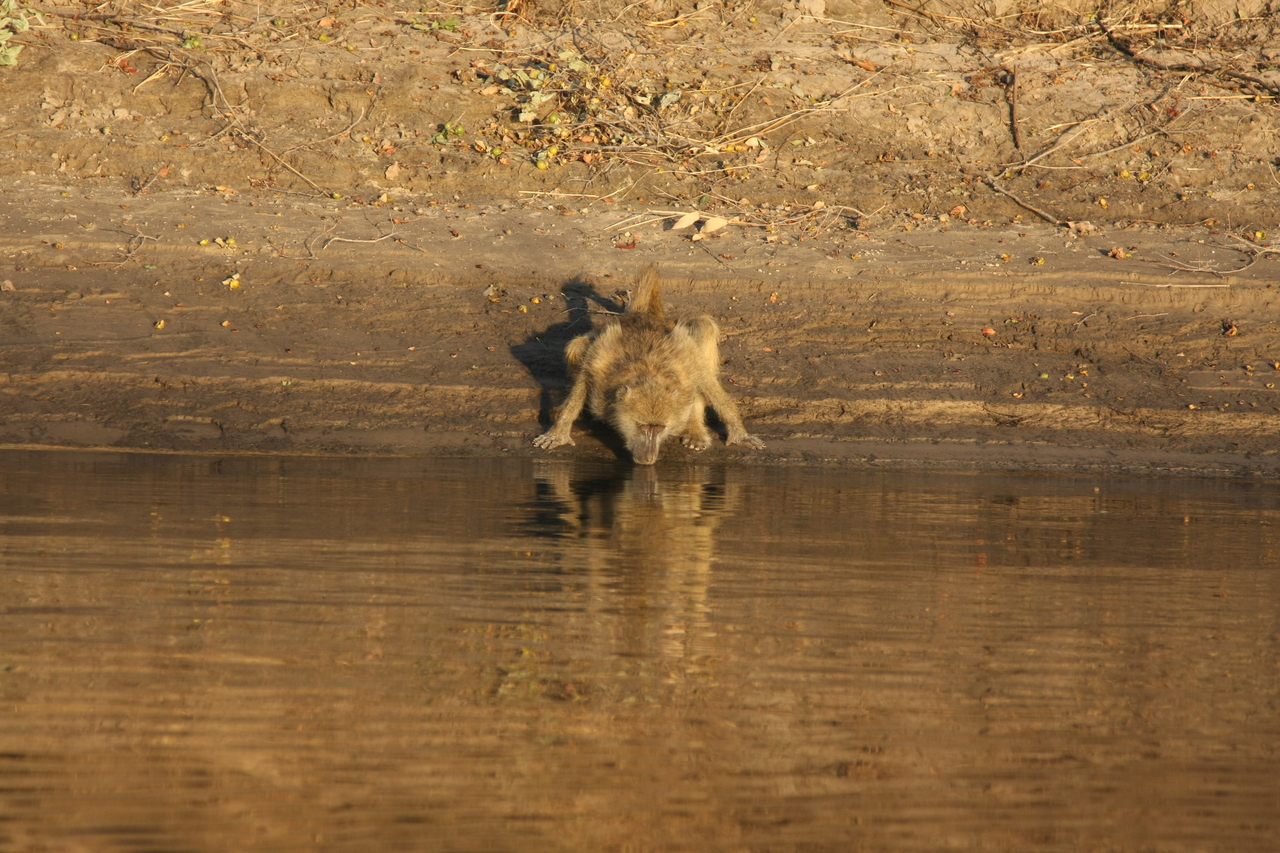 [33878] 2016_07_04_11_22_56_Africa_Canon_EOS_40D_IMG__05879.jpg