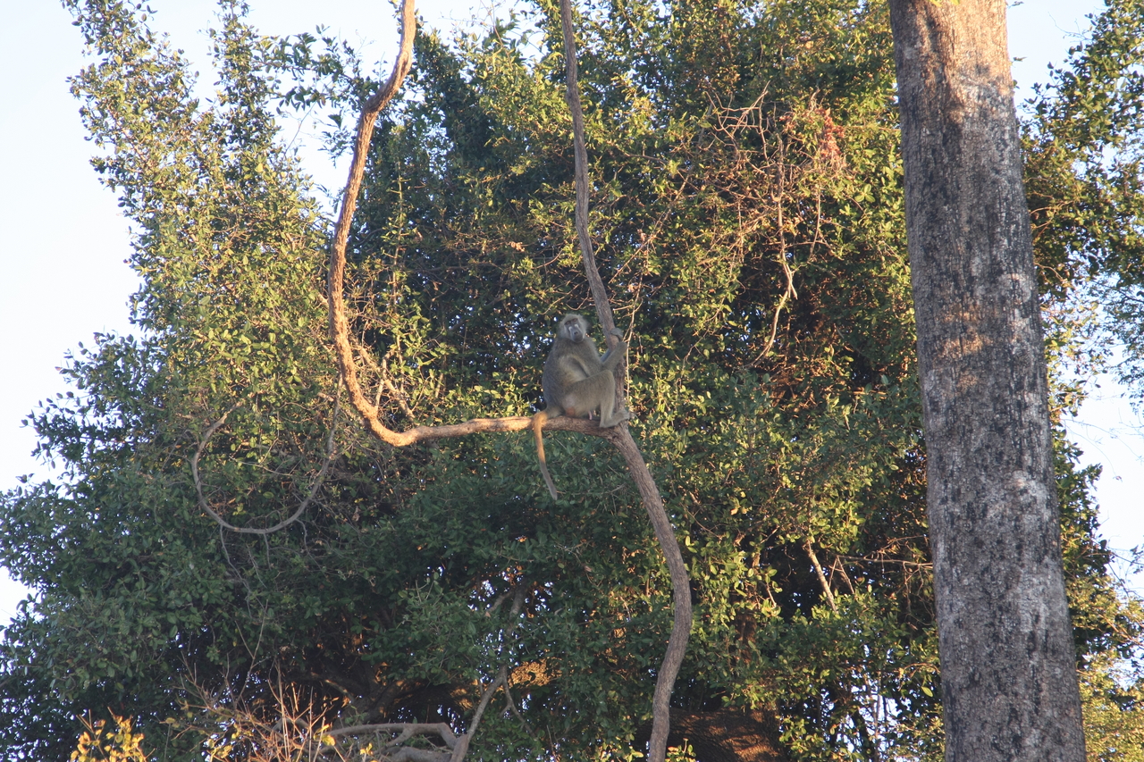 [34045] 2016_07_04_11_28_51_Africa_Canon_EOS_40D_IMG__00307.jpg