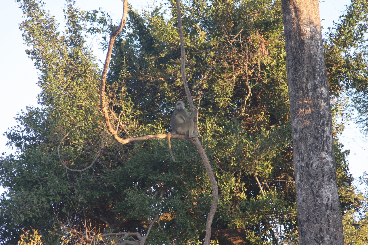 [34047] 2016_07_04_11_28_51_Africa_Canon_EOS_40D_IMG__05941.jpg