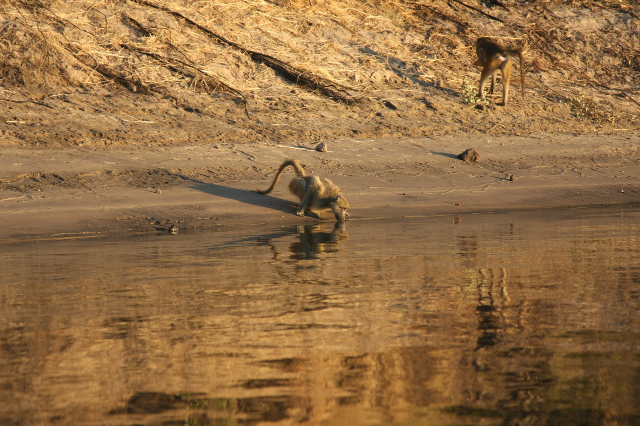 [34053] 2016_07_04_11_30_39_Africa_Canon_EOS_40D_IMG__05943.jpg