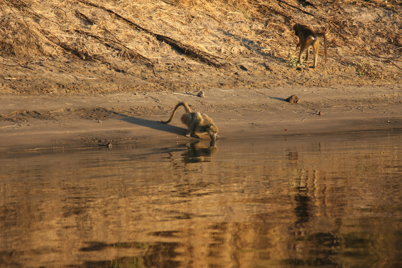 [34060] 2016_07_04_11_30_40_Africa_Canon_EOS_40D_IMG__05946.jpg