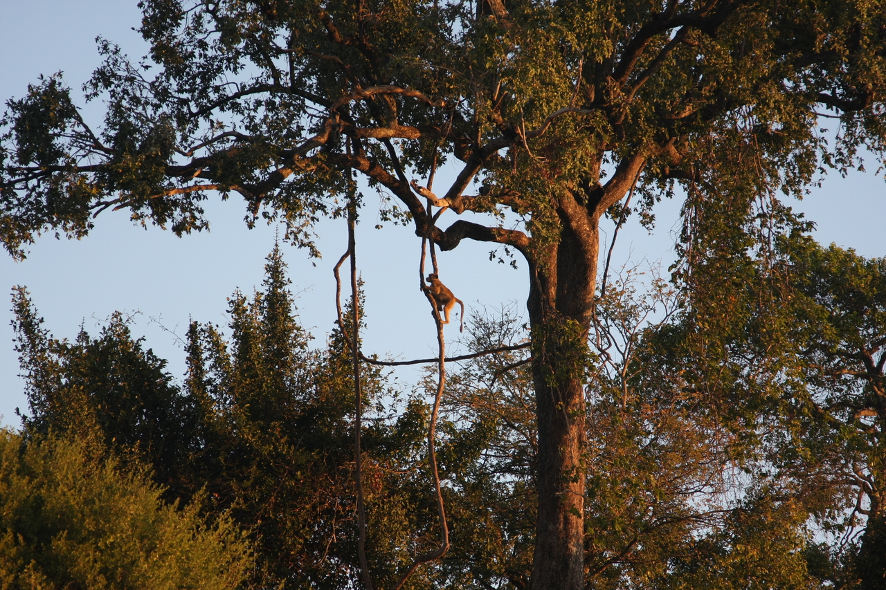 [34084] 2016_07_04_11_32_27_Africa_Canon_EOS_40D_IMG__13399.jpg