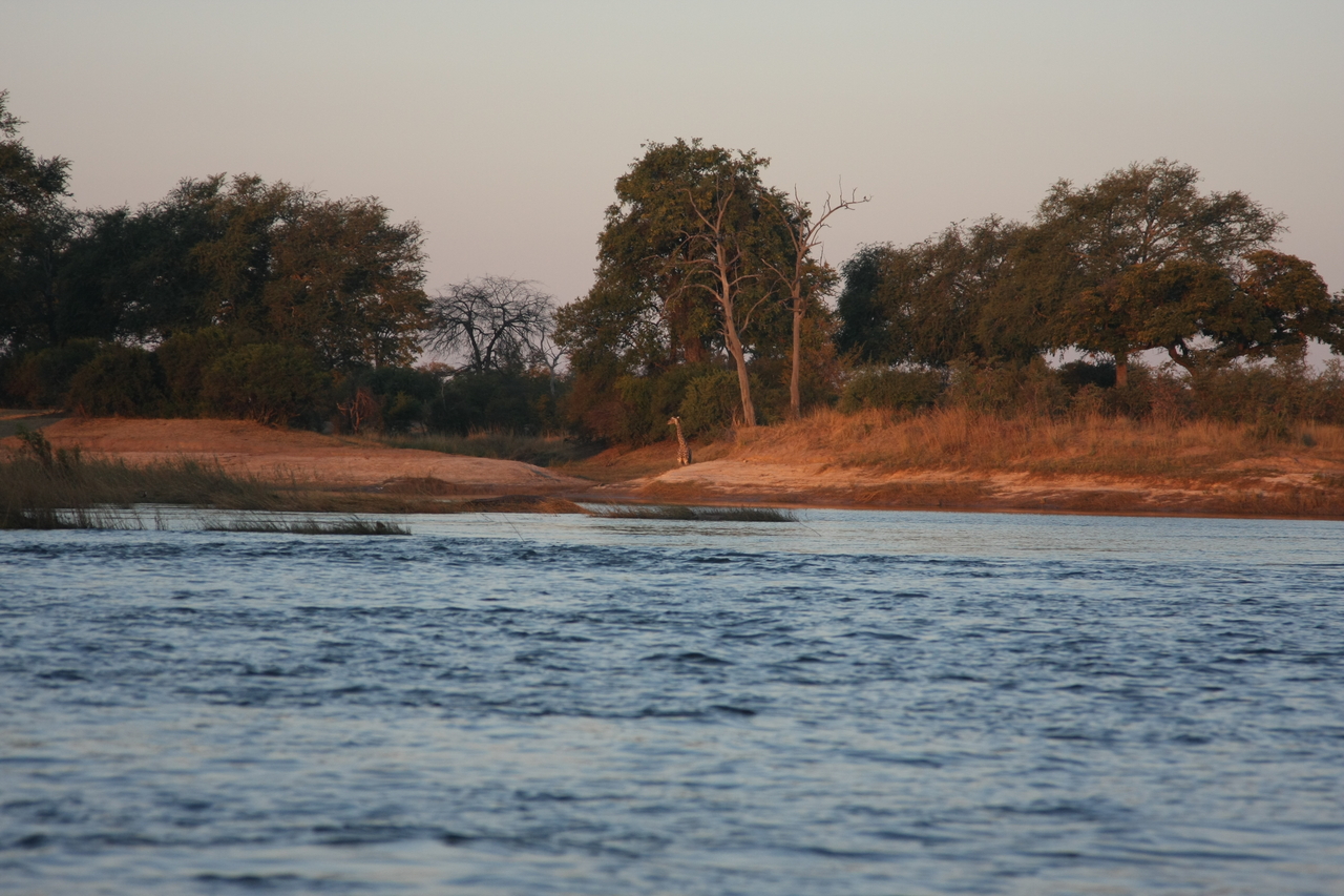 [34124] 2016_07_04_11_38_06_Africa_Canon_EOS_40D_IMG__05966.jpg