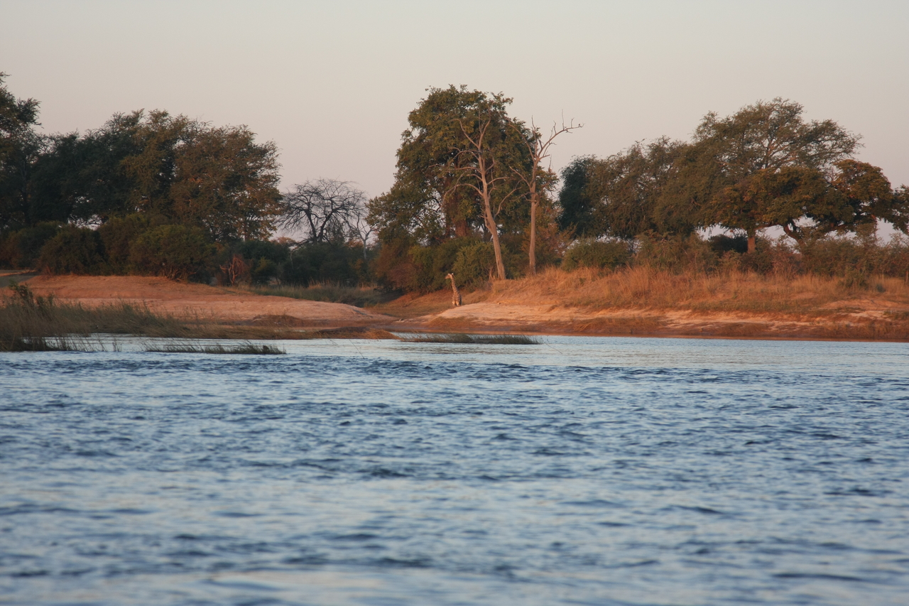 [34125] 2016_07_04_11_38_06_Africa_Canon_EOS_40D_IMG__05967.jpg