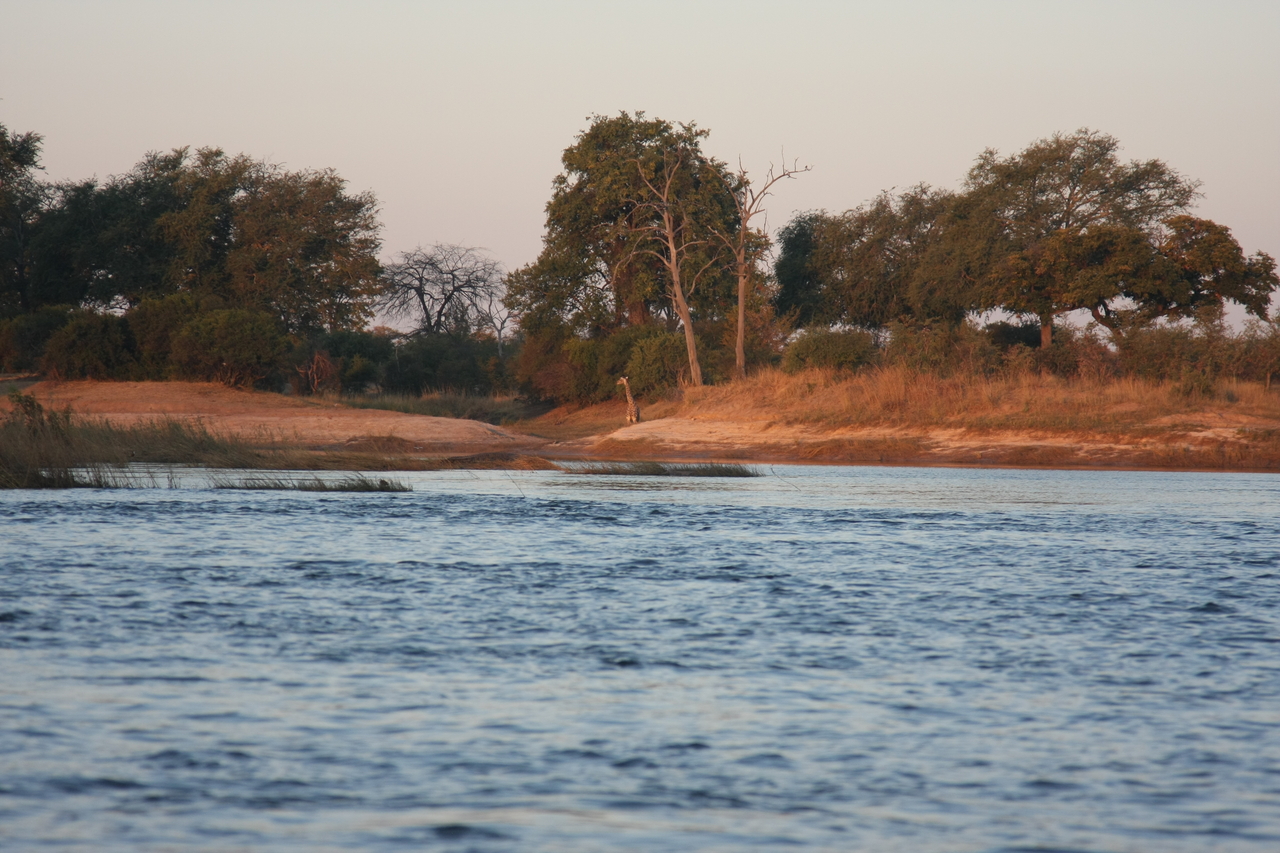 [34129] 2016_07_04_11_38_06_Africa_Canon_EOS_40D_IMG__13415.jpg