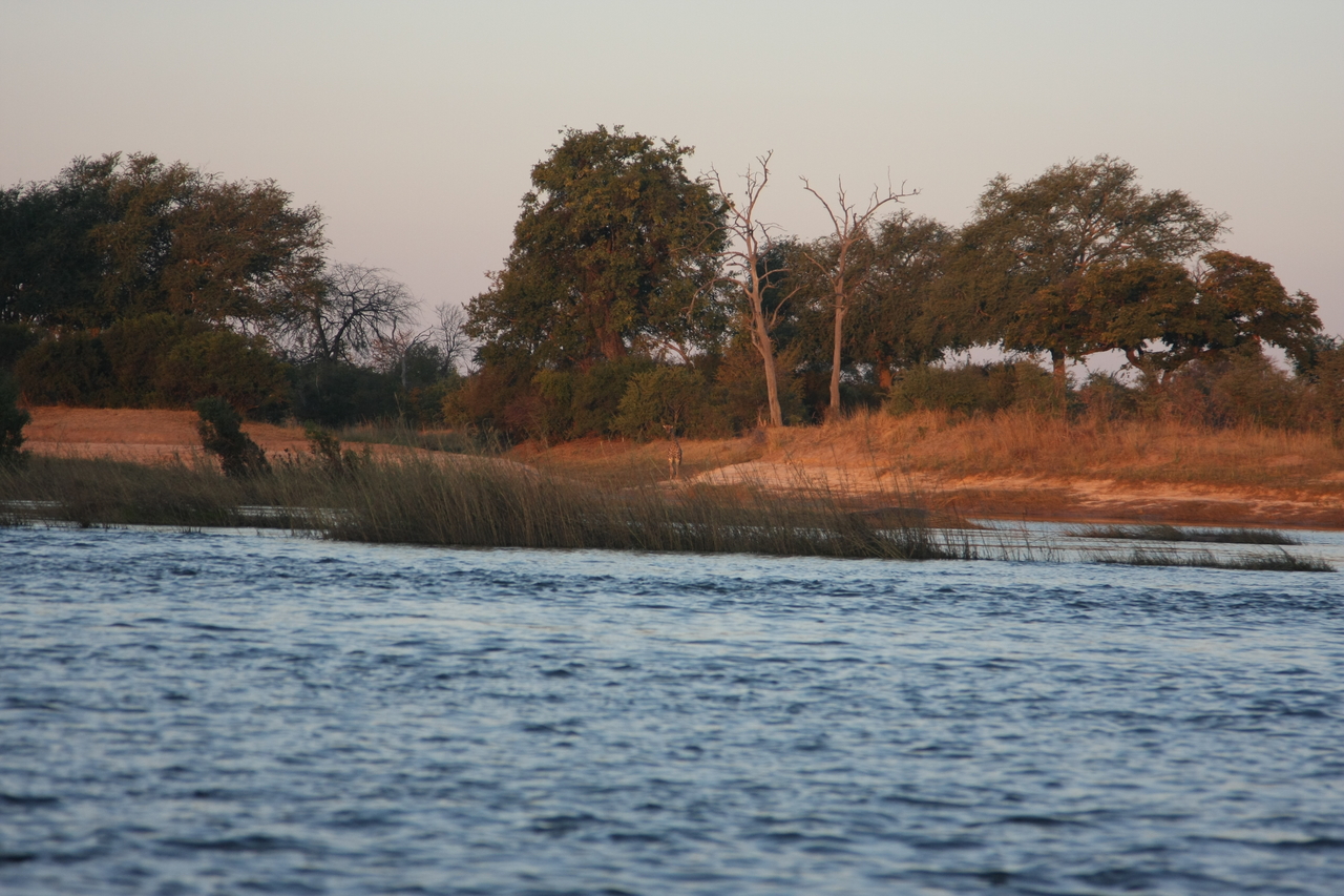 [34130] 2016_07_04_11_38_21_Africa_Canon_EOS_40D_IMG__00334.jpg