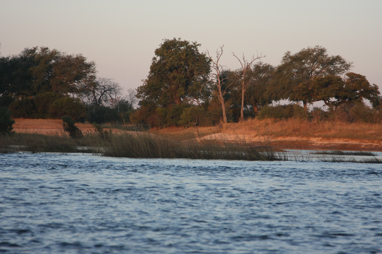 [34133] 2016_07_04_11_38_21_Africa_Canon_EOS_40D_IMG__05972.jpg