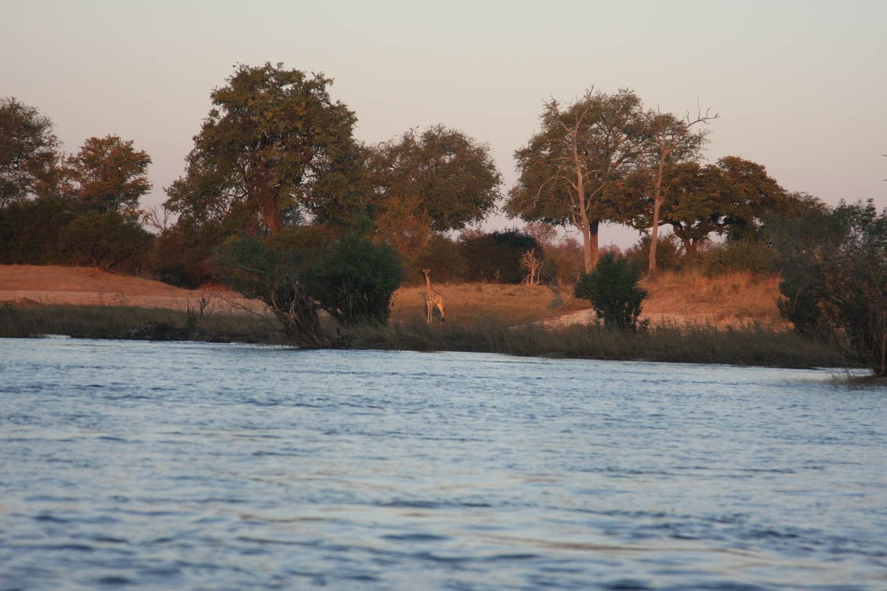 [34138] 2016_07_04_11_39_01_Africa_Canon_EOS_40D_IMG__00340.jpg