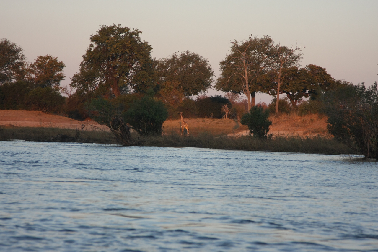 [34140] 2016_07_04_11_39_01_Africa_Canon_EOS_40D_IMG__05974.jpg