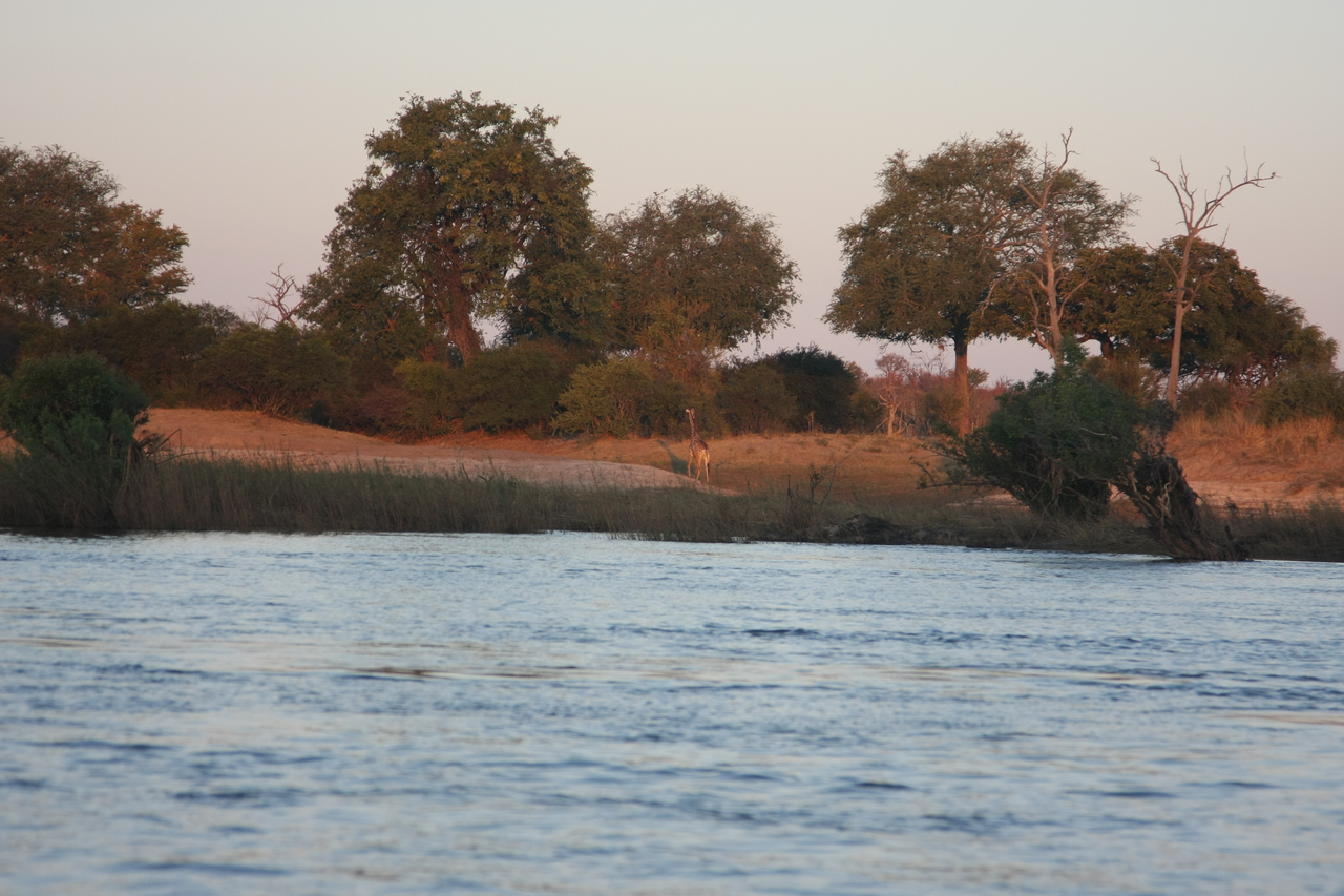 [34145] 2016_07_04_11_39_14_Africa_Canon_EOS_40D_IMG__00341.jpg