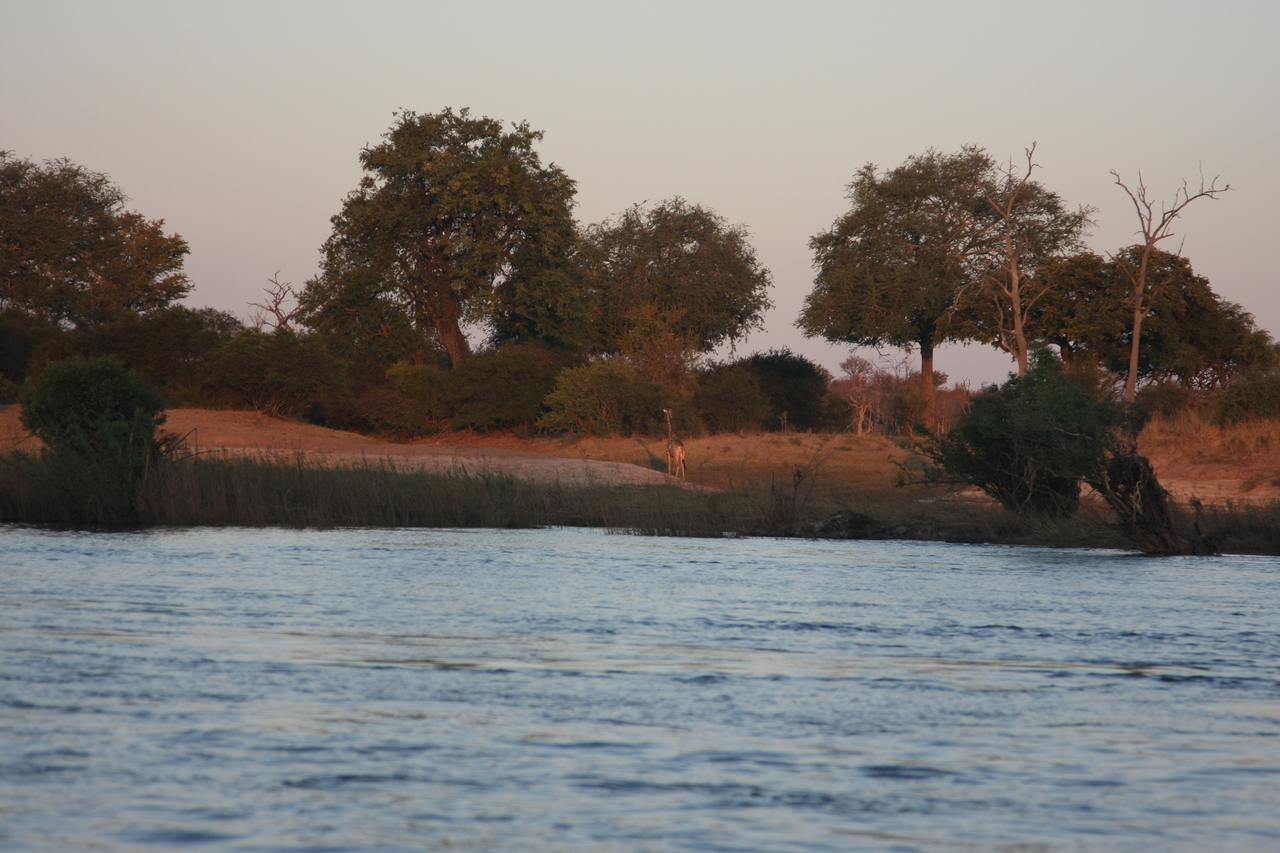 [34146] 2016_07_04_11_39_14_Africa_Canon_EOS_40D_IMG__00342.jpg