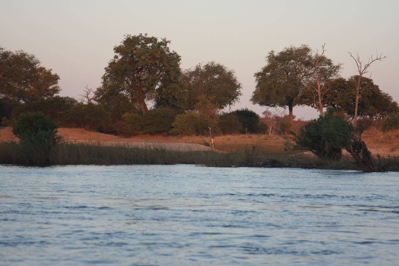 [34150] 2016_07_04_11_39_14_Africa_Canon_EOS_40D_IMG__05978.jpg