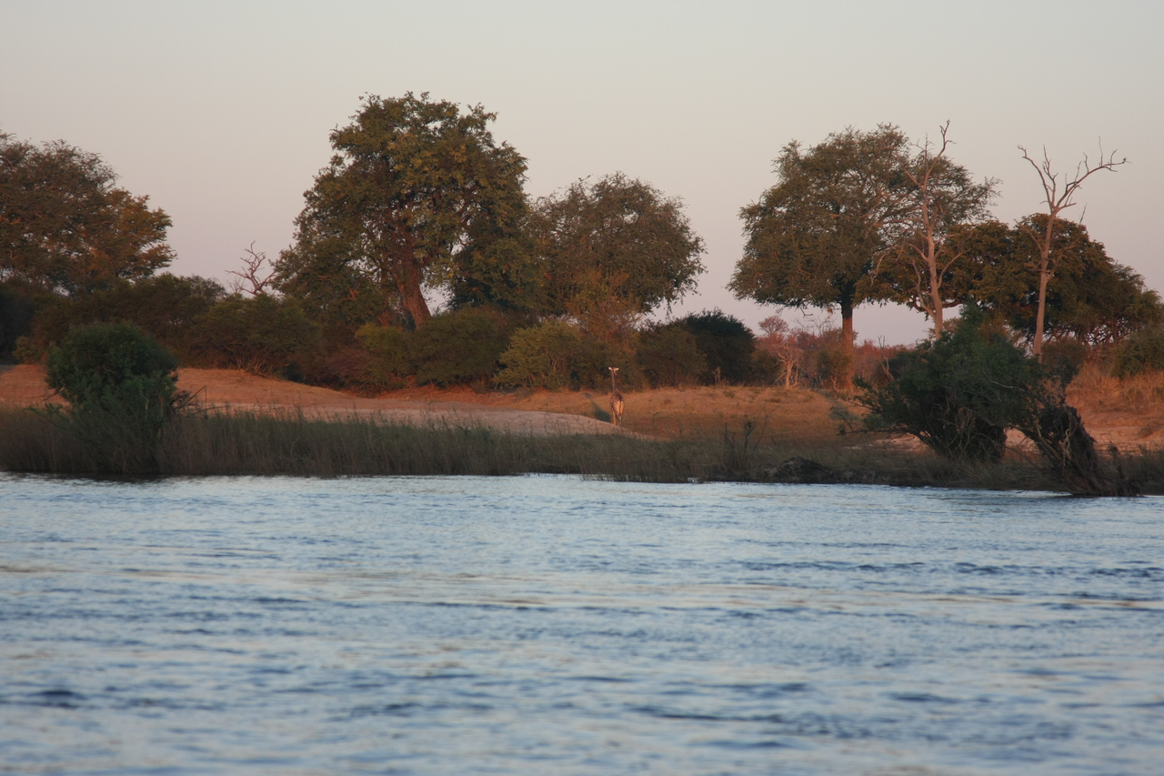 [34156] 2016_07_04_11_39_15_Africa_Canon_EOS_40D_IMG__13426.jpg