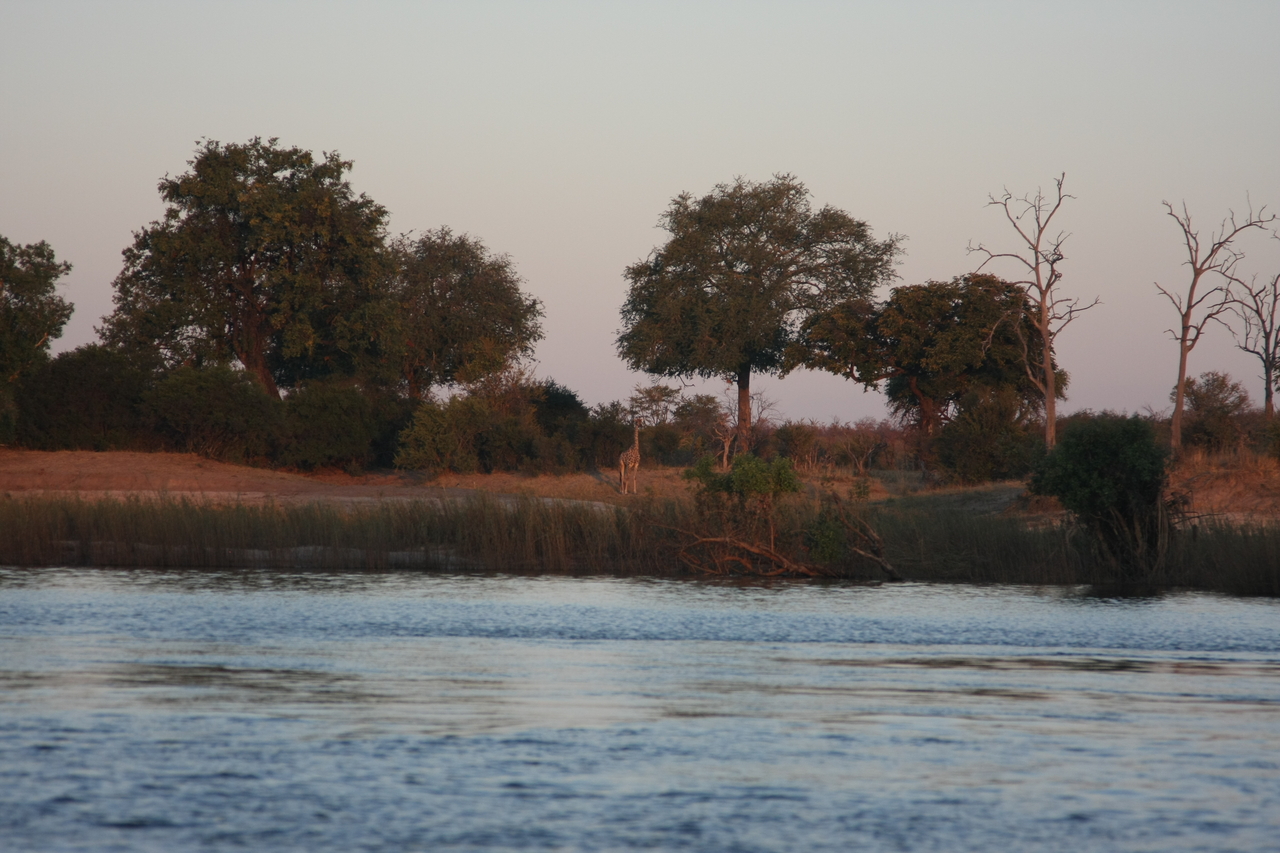 [34161] 2016_07_04_11_39_49_Africa_Canon_EOS_40D_IMG__00348.jpg