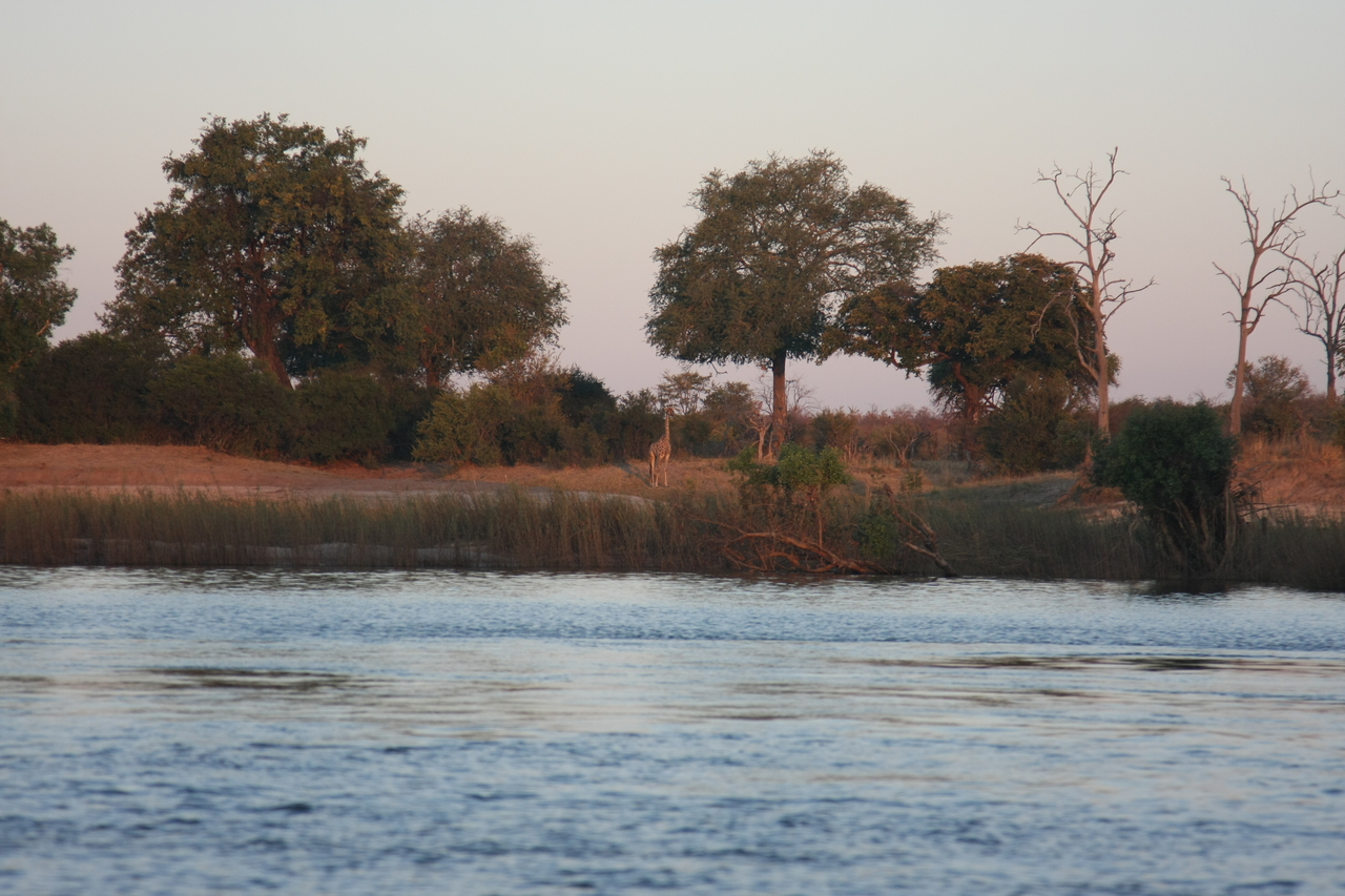 [34162] 2016_07_04_11_39_49_Africa_Canon_EOS_40D_IMG__00349.jpg