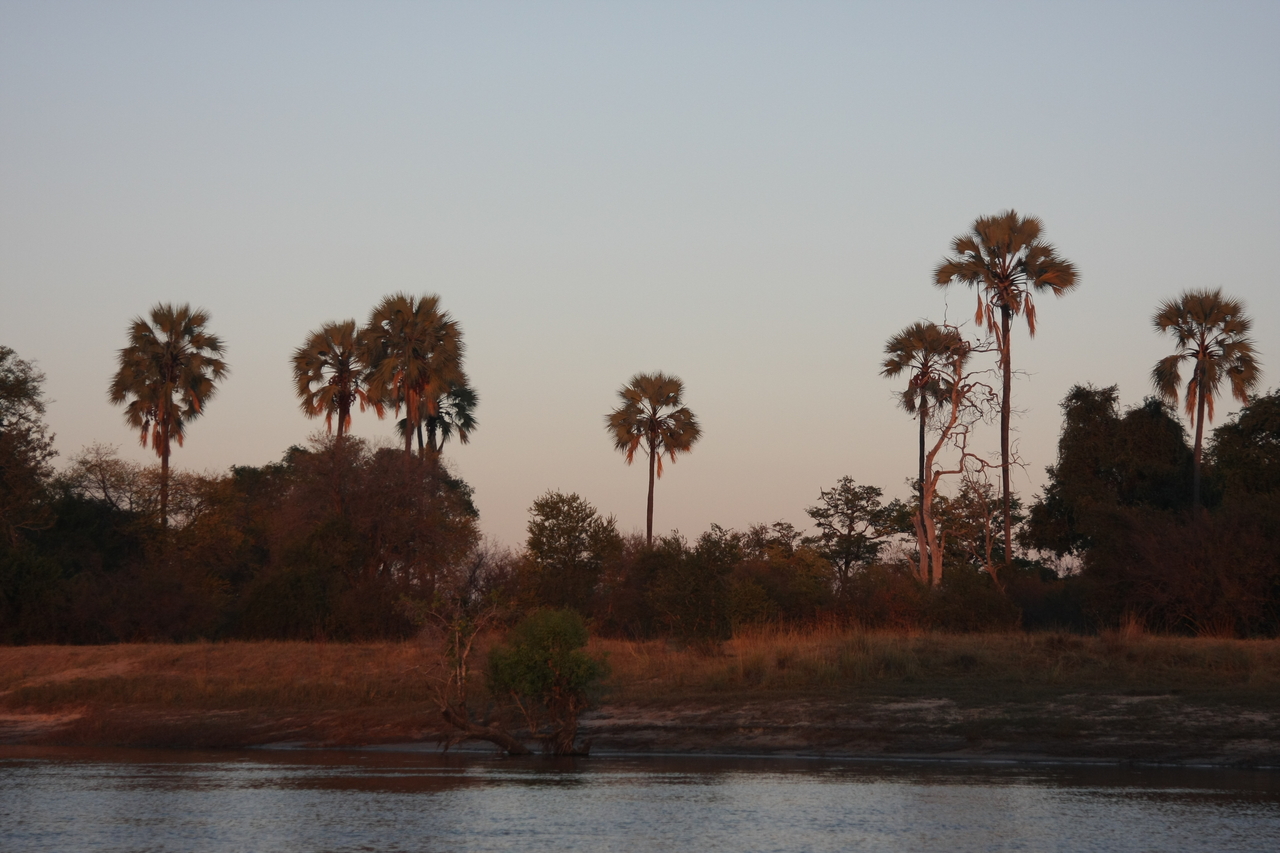 [34169] 2016_07_04_11_41_30_Africa_Canon_EOS_40D_IMG__00350.jpg