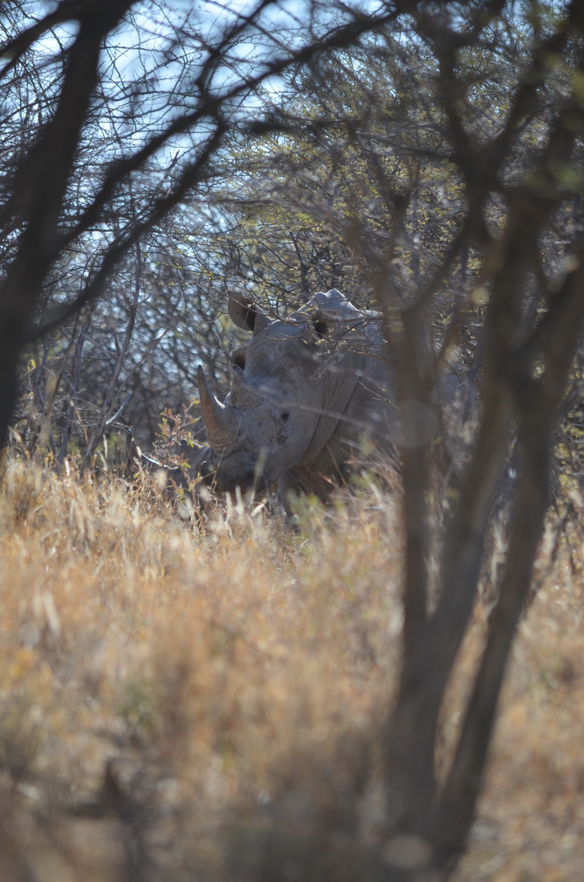 [4484] 2016_06_23_00_28_29_Africa_NIKON_D5100_IMG__00014.jpg