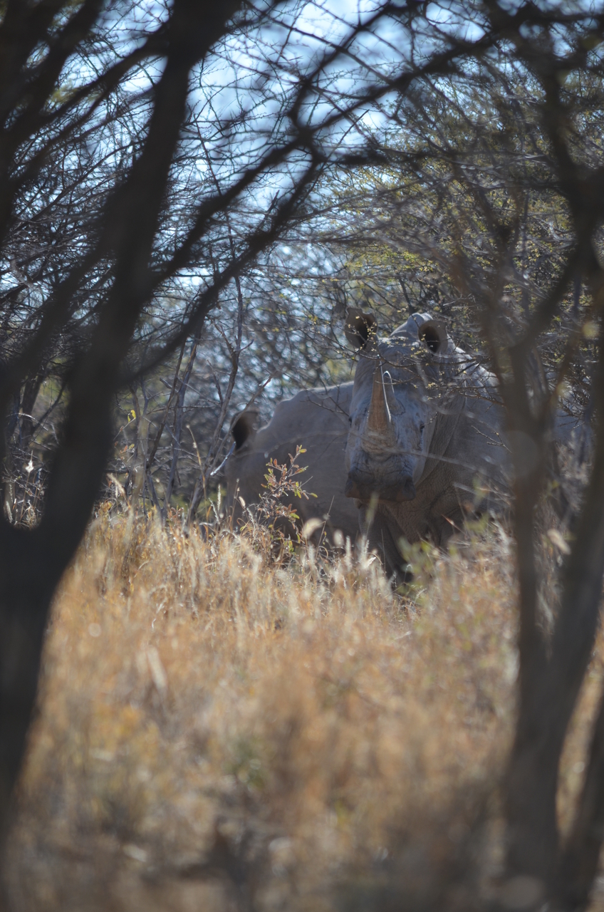 [4488] 2016_06_23_00_28_44_Africa_NIKON_D5100_IMG__00016.jpg