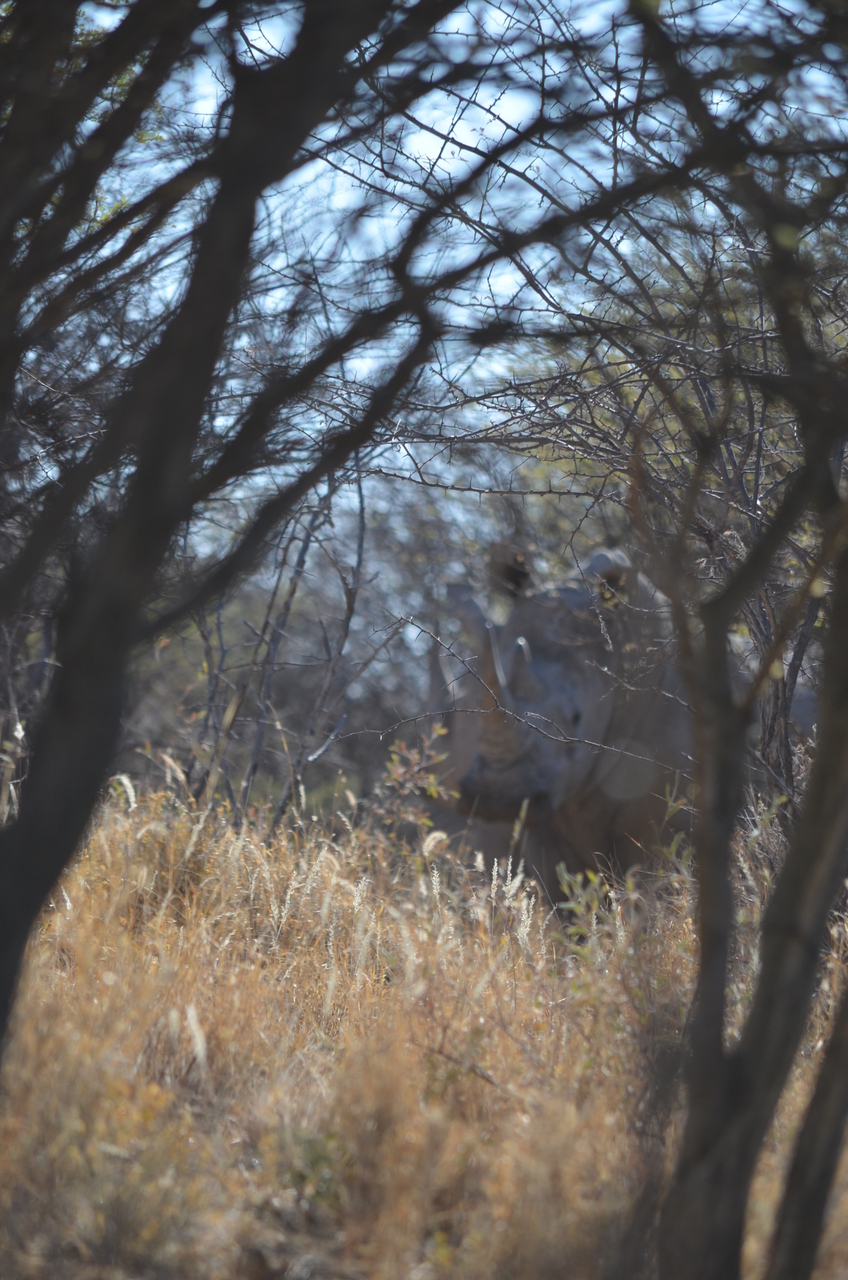 [4490] 2016_06_23_00_28_53_Africa_NIKON_D5100_IMG__00017.jpg