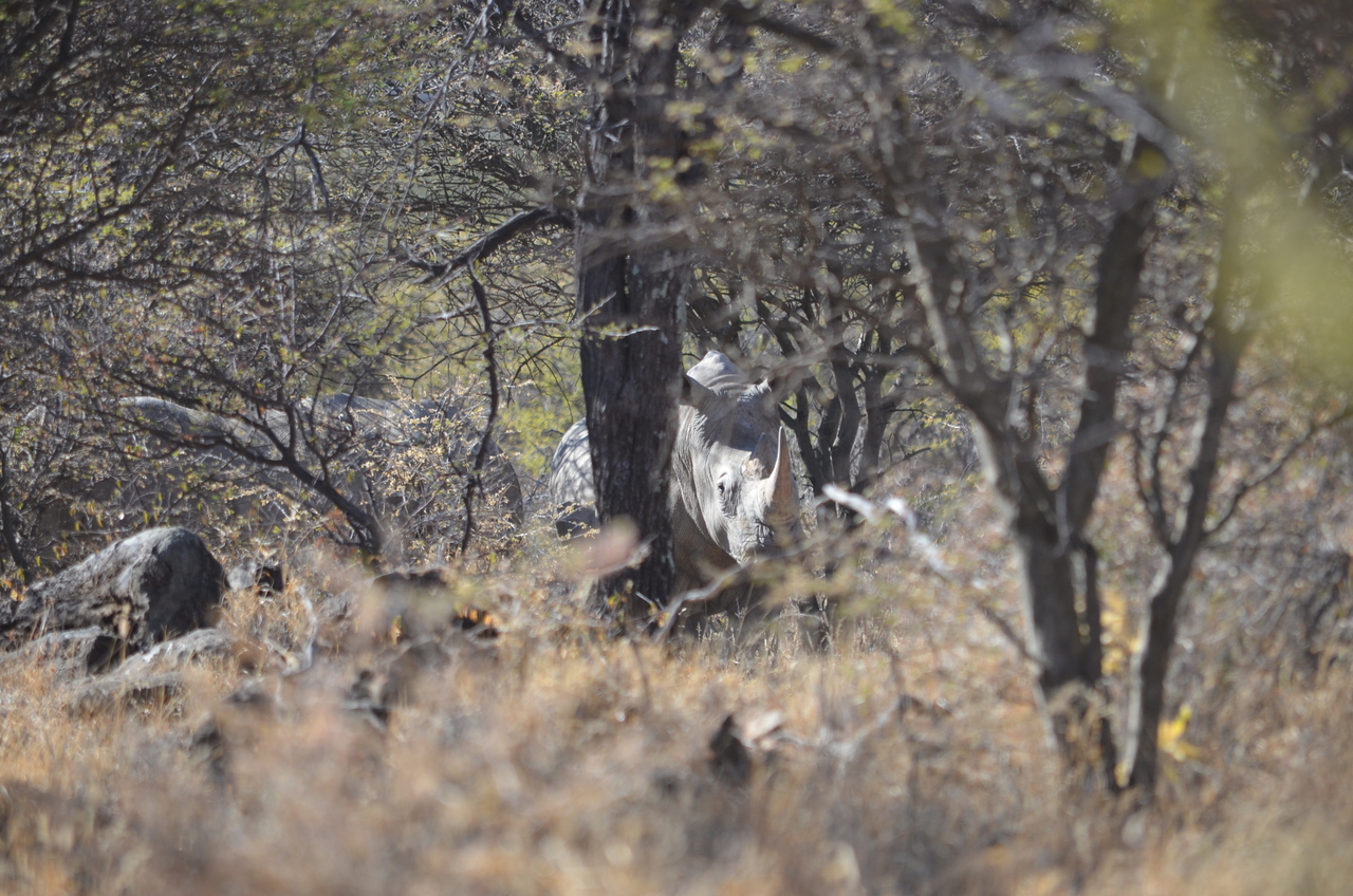 [4495] 2016_06_23_00_35_48_Africa_NIKON_D5100_IMG__04641.jpg
