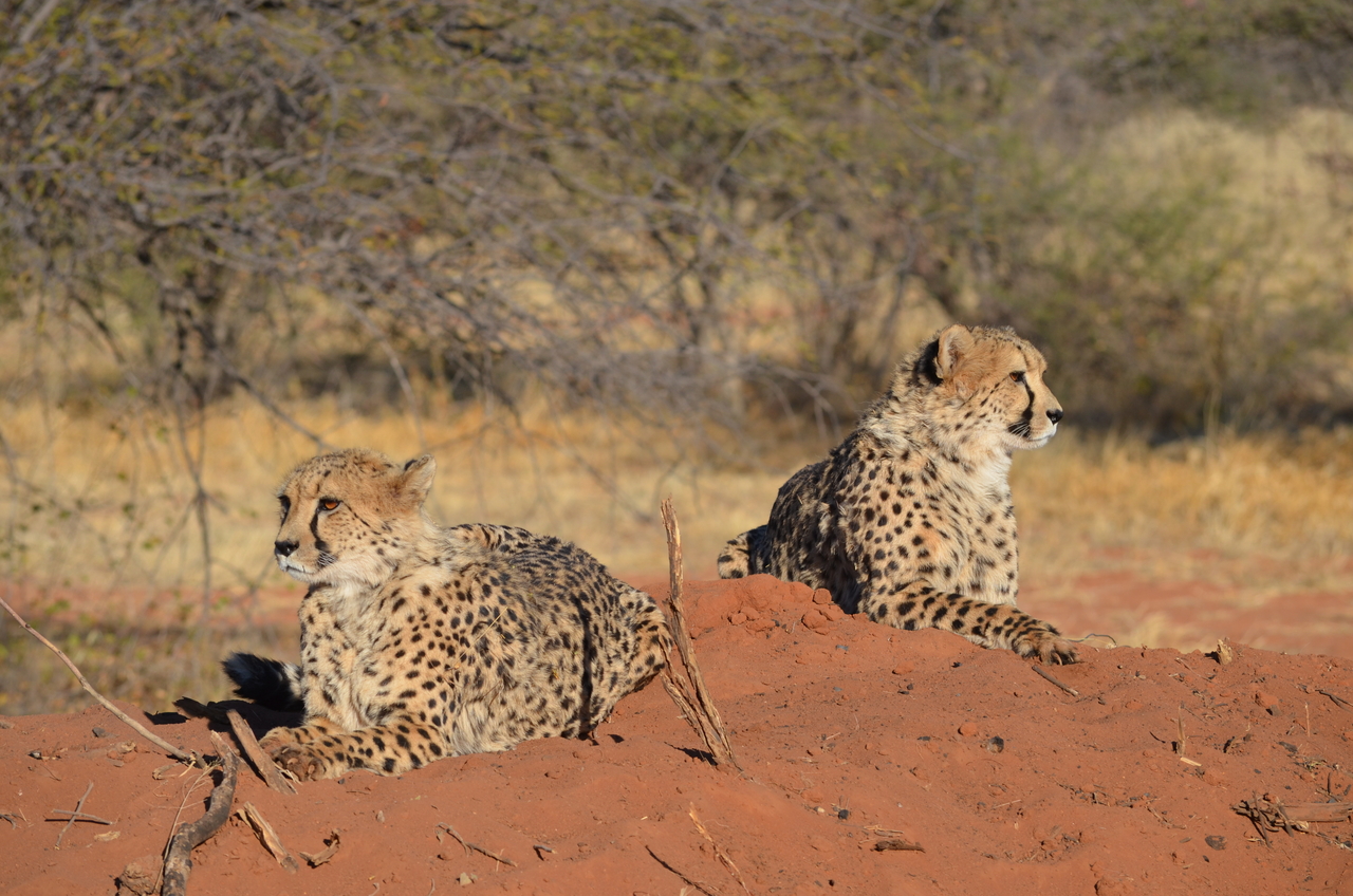 [5125] 2016_06_23_07_02_38_Africa_NIKON_D5100_IMG__04714.jpg