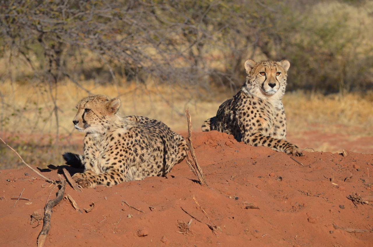 [5128] 2016_06_23_07_02_50_Africa_NIKON_D5100_IMG__00094.jpg