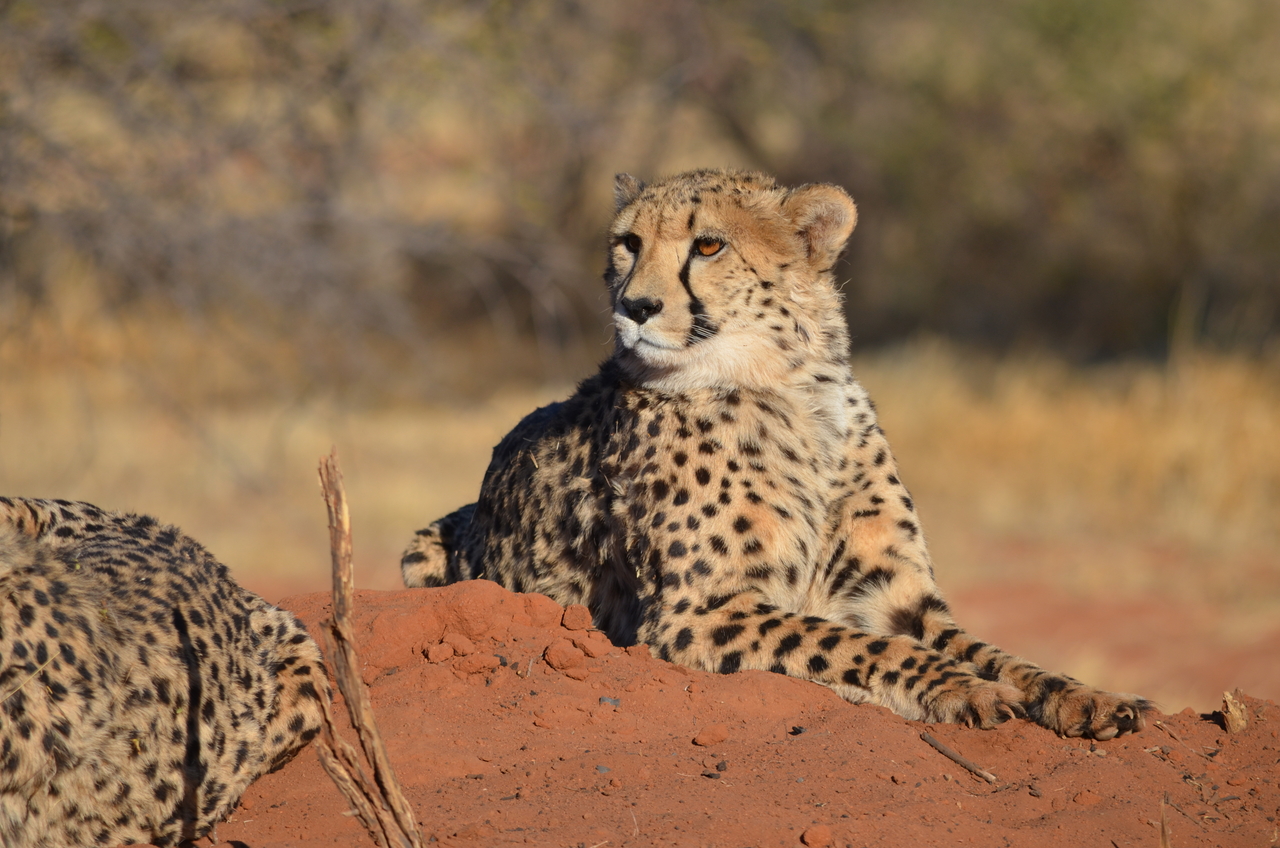 [5133] 2016_06_23_07_06_03_Africa_NIKON_D5100_IMG__04718.jpg