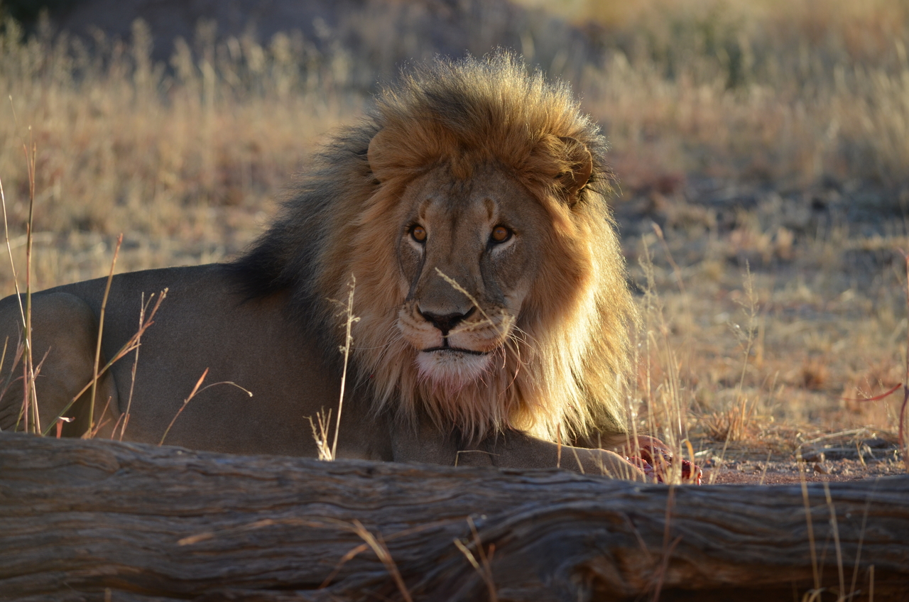 [5181] 2016_06_23_07_57_21_Africa_NIKON_D5100_IMG__04739.jpg