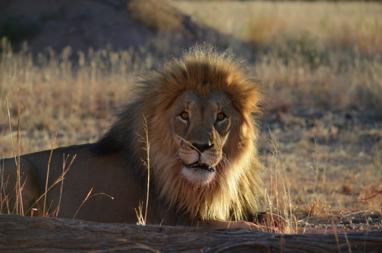 [5192] 2016_06_23_07_57_30_Africa_NIKON_D5100_IMG__00123.jpg