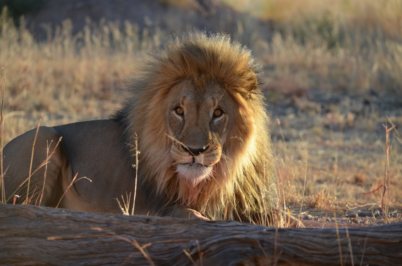 [5198] 2016_06_23_07_59_17_Africa_NIKON_D5100_IMG__00126.jpg