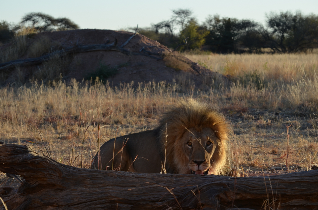 [5200] 2016_06_23_07_59_48_Africa_NIKON_D5100_IMG__00127.jpg