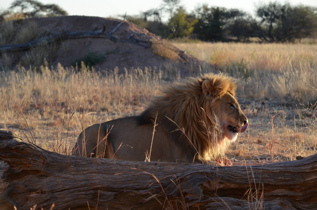 [5210] 2016_06_23_08_02_00_Africa_NIKON_D5100_IMG__00132.jpg