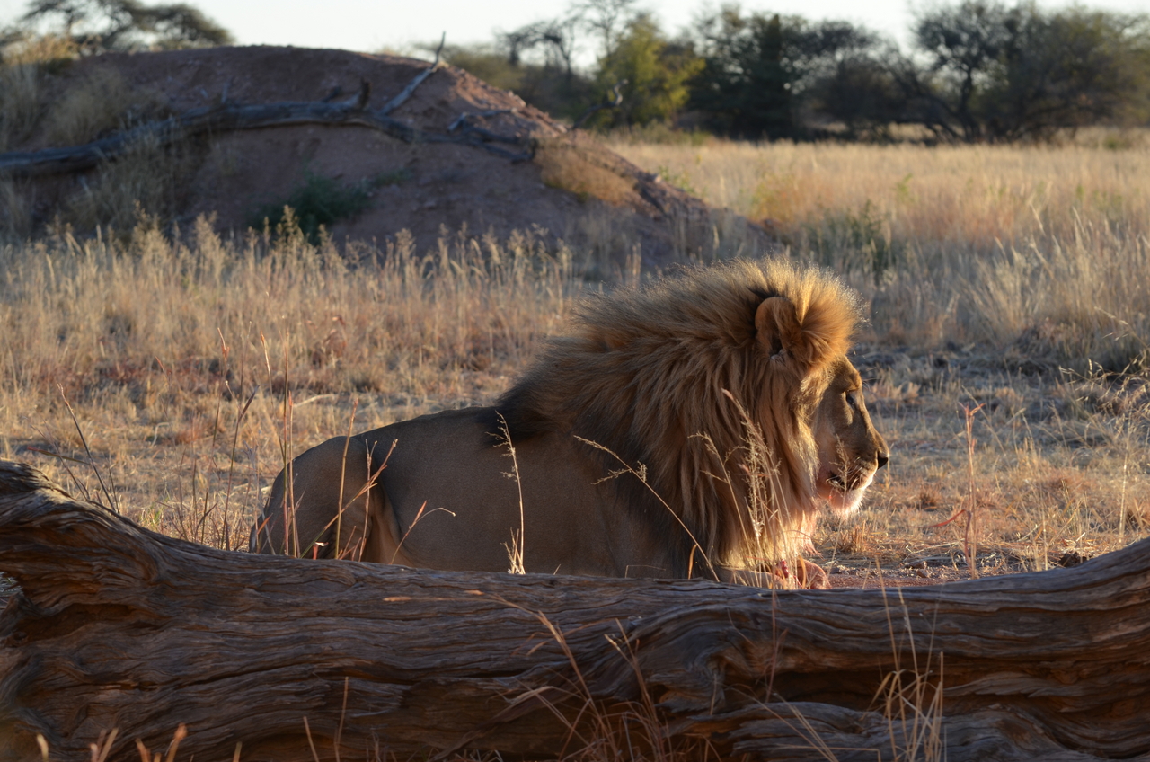 [5212] 2016_06_23_08_02_01_Africa_NIKON_D5100_IMG__00133.jpg