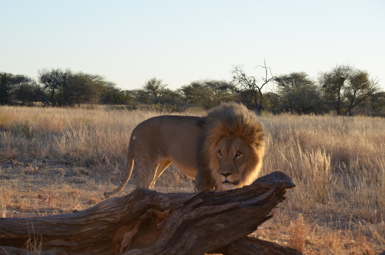 [5216] 2016_06_23_08_02_19_Africa_NIKON_D5100_IMG__00135.jpg