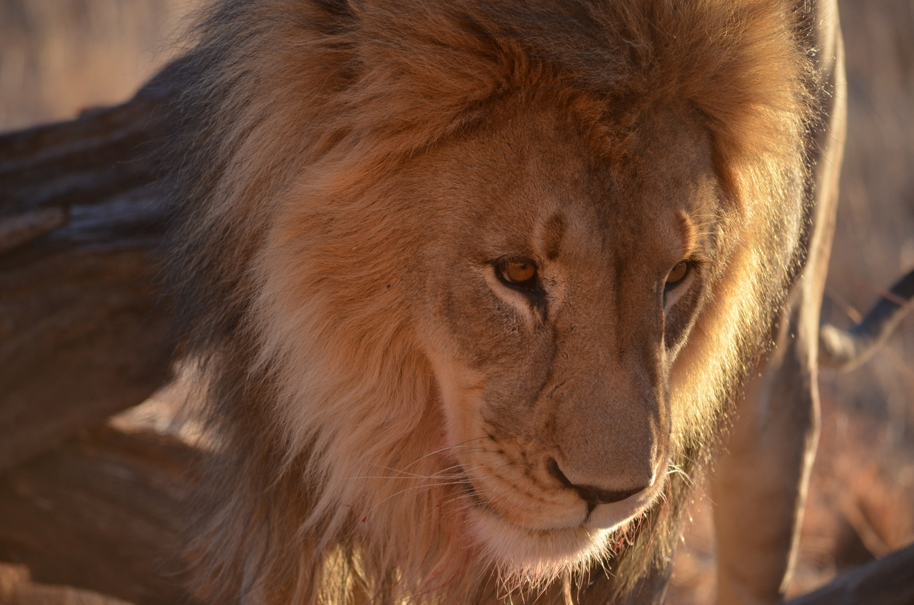 [5223] 2016_06_23_08_02_48_Africa_NIKON_D5100_IMG__04760.jpg