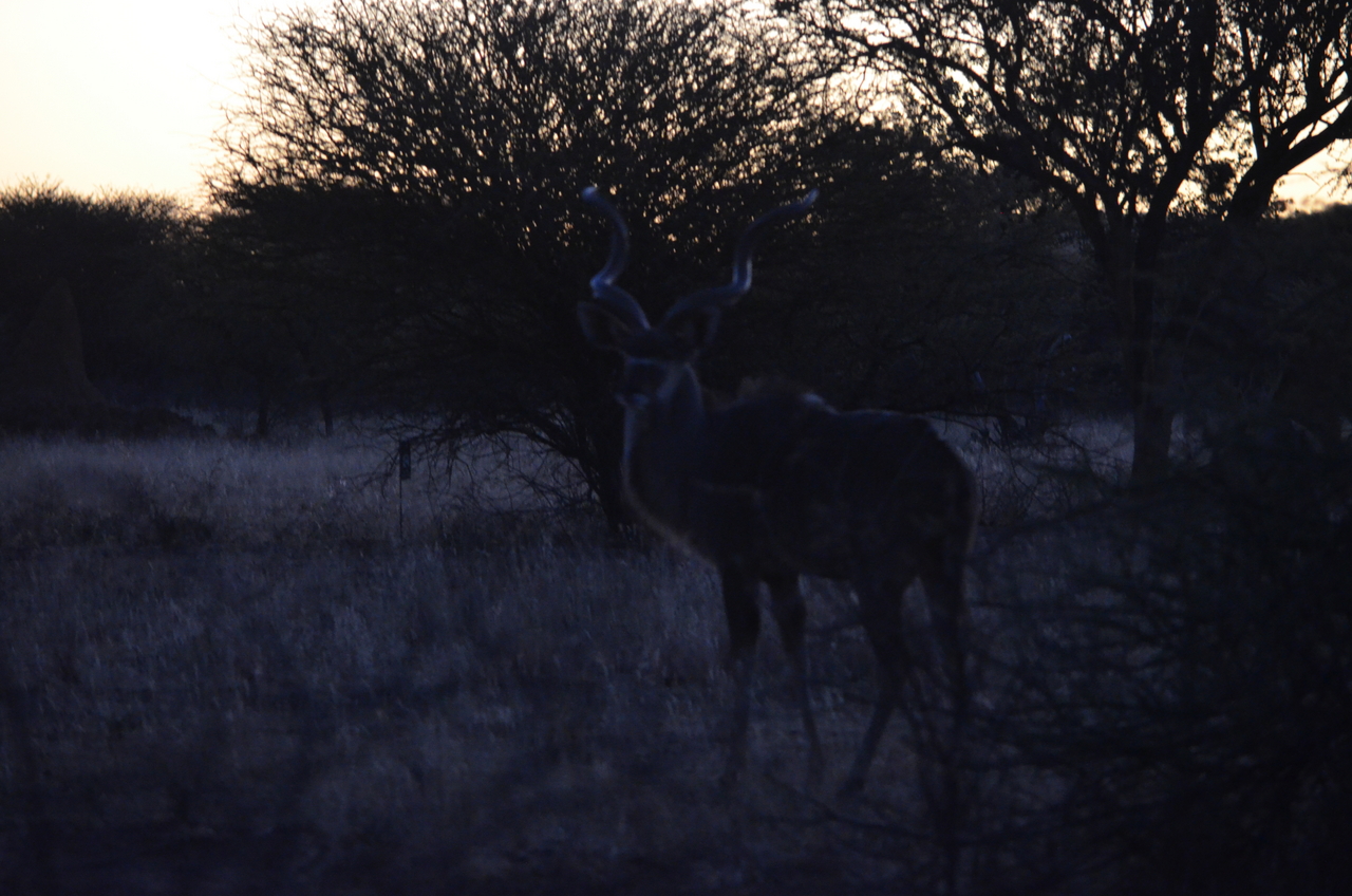 [5268] 2016_06_23_08_54_24_Africa_NIKON_D5100_IMG__00161.jpg