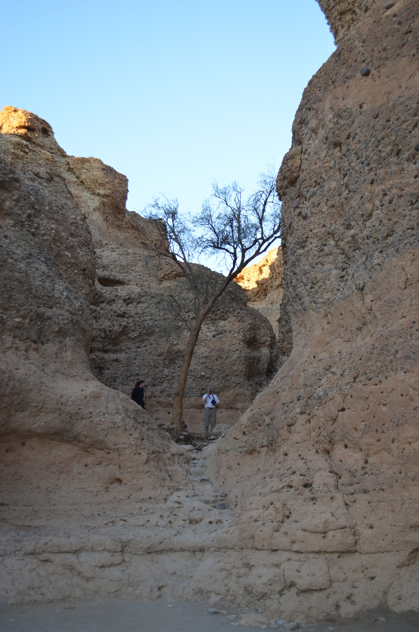 [13747] 2016_06_24_07_59_43_Africa_NIKON_D5100_IMG__00181.jpg