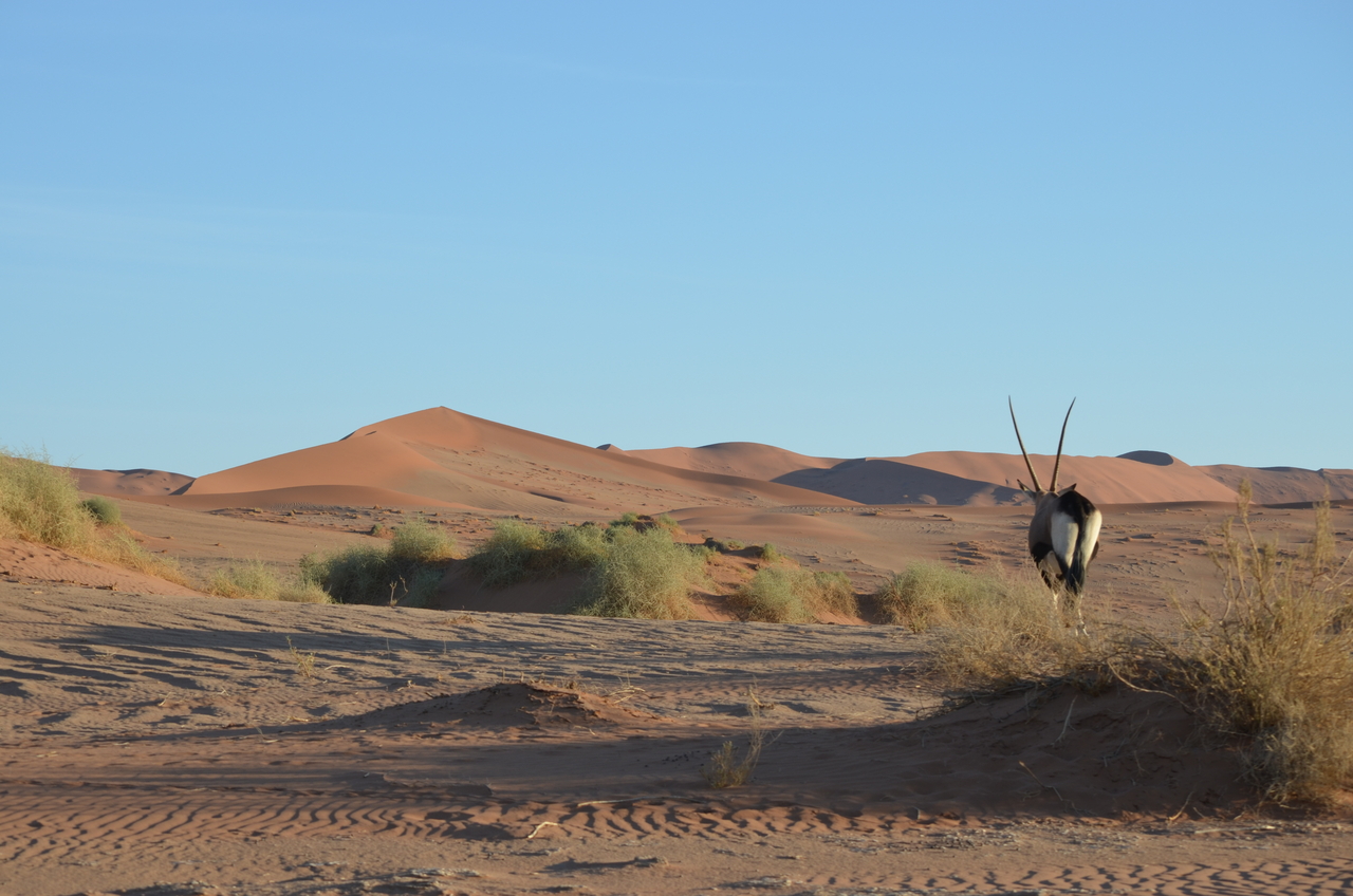 [14387] 2016_06_24_22_39_09_Africa_NIKON_D5100_IMG__00199.jpg