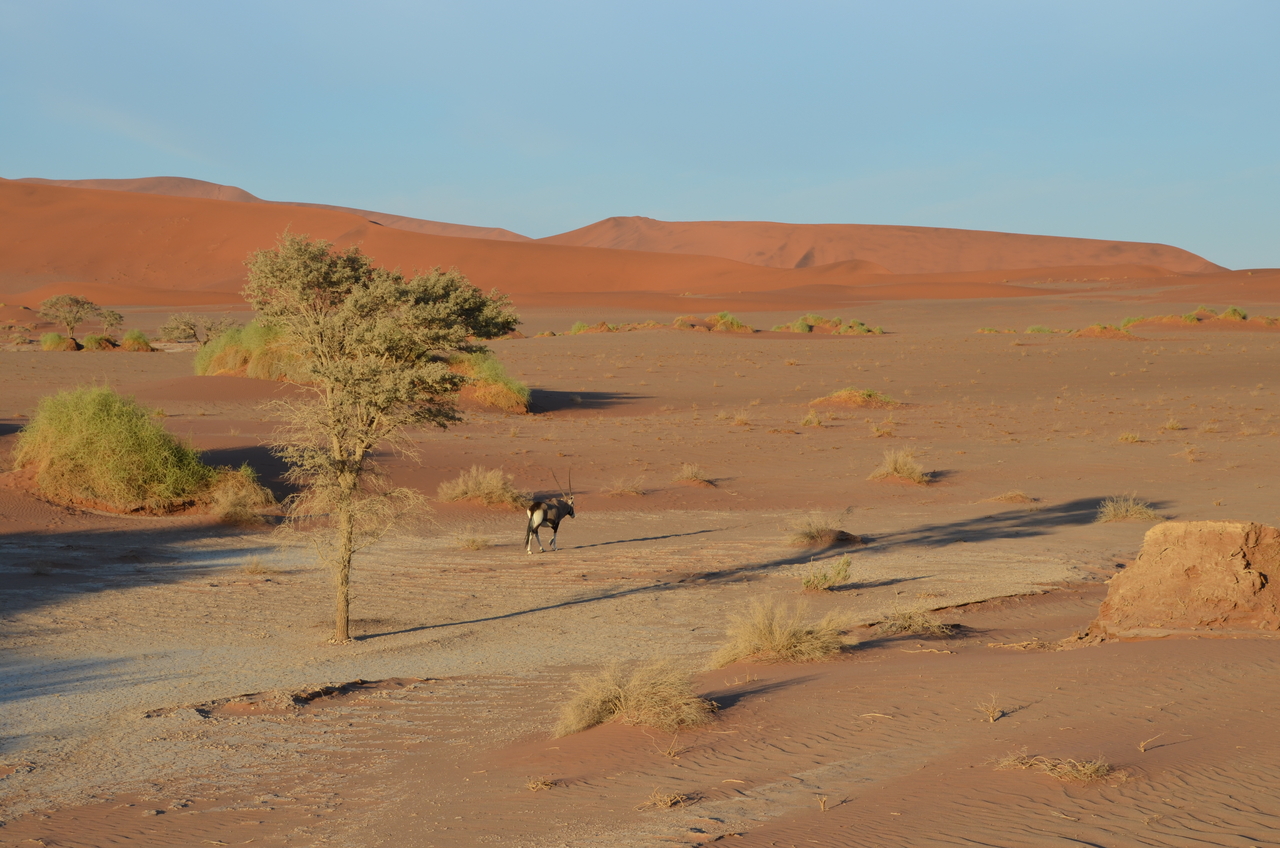 [14391] 2016_06_24_22_40_53_Africa_NIKON_D5100_IMG__00201.jpg