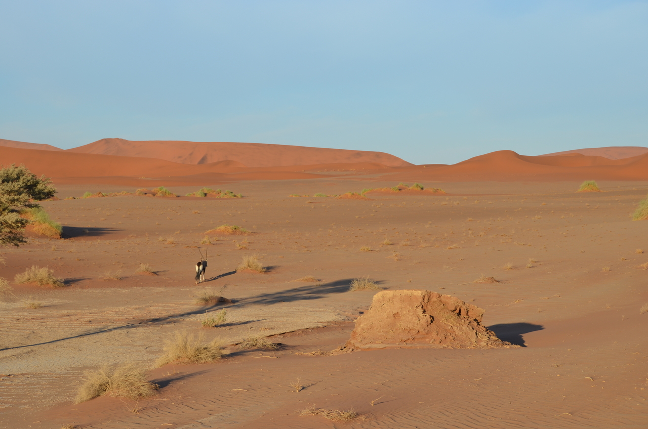 [14394] 2016_06_24_22_41_10_Africa_NIKON_D5100_IMG__04824.jpg