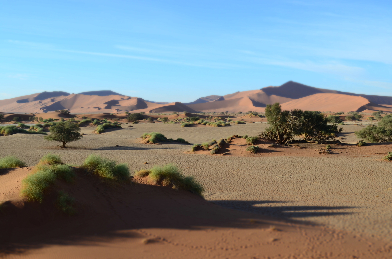 [14409] 2016_06_24_23_01_13_Africa_NIKON_D5100_IMG__00210.jpg