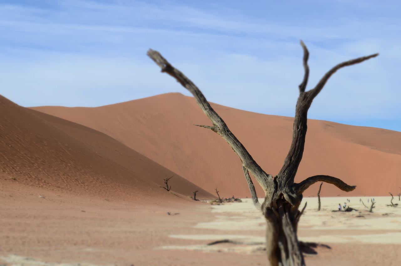 [14498] 2016_06_25_01_00_20_Africa_NIKON_D5100_IMG__04876.jpg