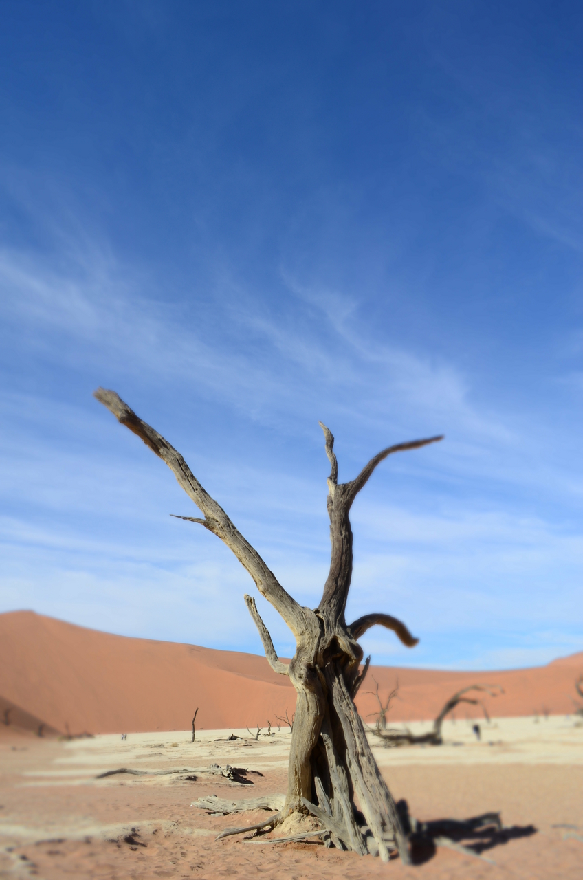 [14502] 2016_06_25_01_01_42_Africa_NIKON_D5100_IMG__04878.jpg