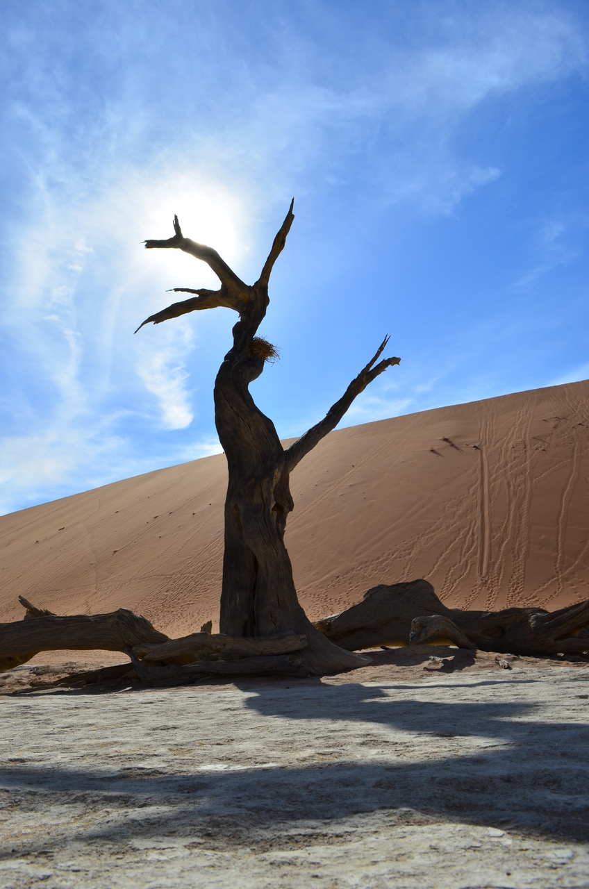 [14517] 2016_06_25_01_07_26_Africa_NIKON_D5100_IMG__00264.jpg